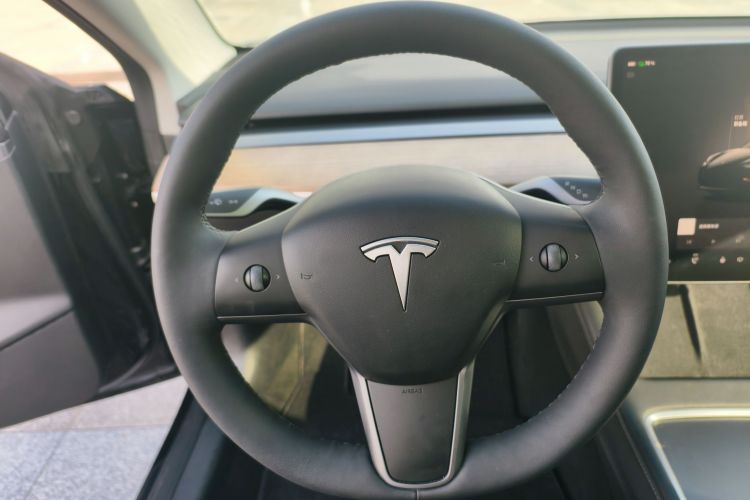 Tesla Model 3 2022 immagine di auto #14