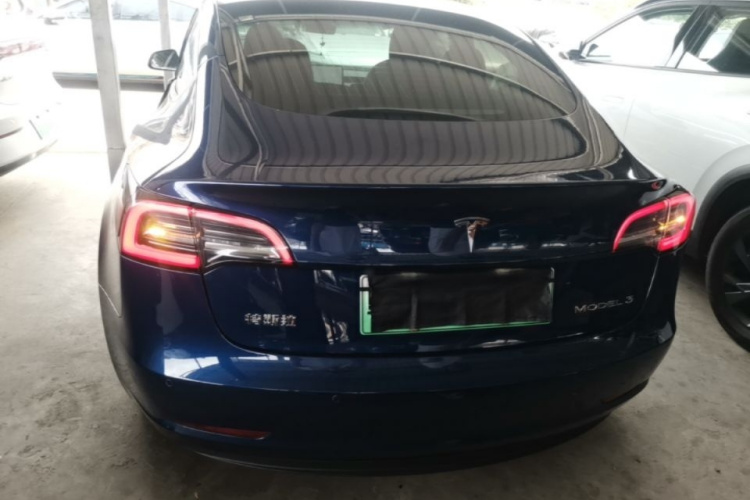 Tesla Model 3 2020 car image #6