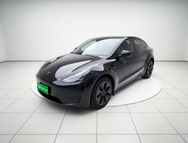 Tesla Model Y 2024 Tesla Model Y 2024 car image