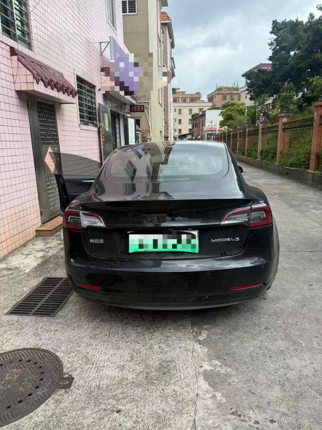 Tesla Model 3 2021 #3 Tesla Model 3 2021 car image #3