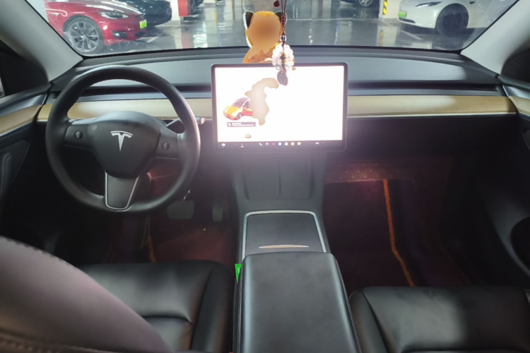 Tesla Model Y 2021 car image #10