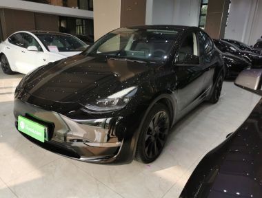 Tesla Model Y 2021 car image 