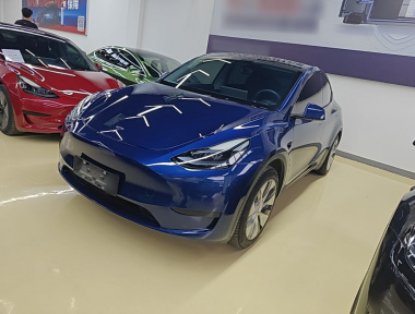 Tesla Model Y 2023 Tesla Model Y 2023 car image