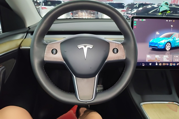 Tesla Model Y 2023 car image #11