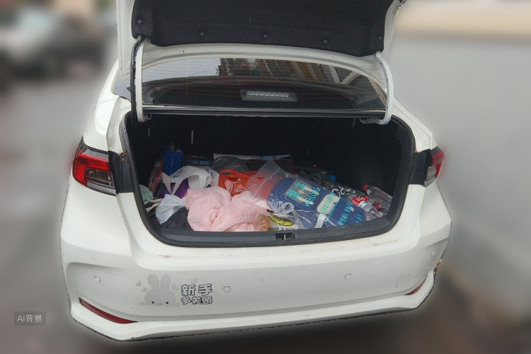 Toyota Corolla 2020 car image #21