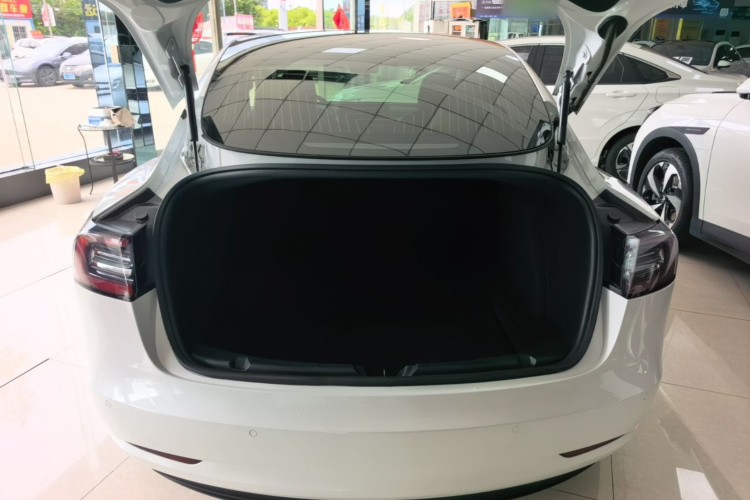 Tesla Model 3 2020 #19 Tesla Model 3 2020 immagine di auto #19