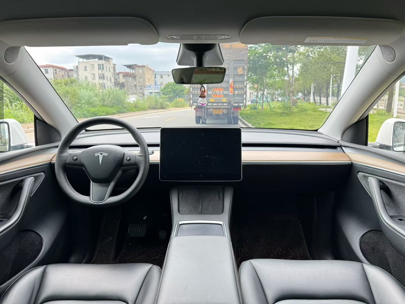 Tesla Model Y 2021 car image #7