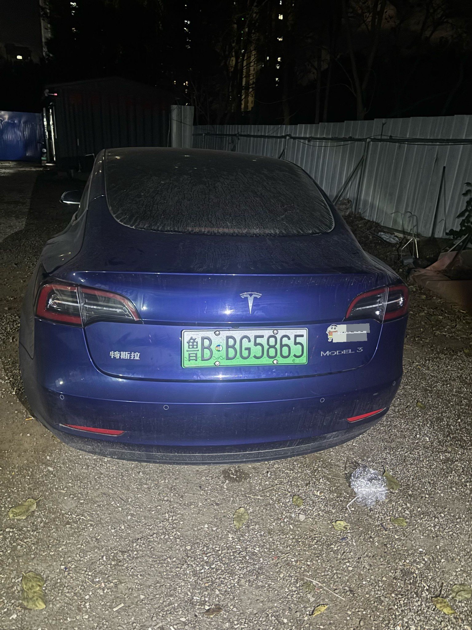 Tesla Model 3 2020 #7 Tesla Model 3 2020 car image #7