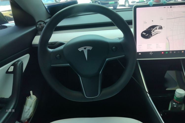 Tesla Model 3 2020 #12 Tesla Model 3 2020 car image #12