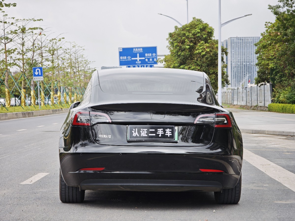 Tesla Model 3 2020 #8 Tesla Model 3 2020 car image #8