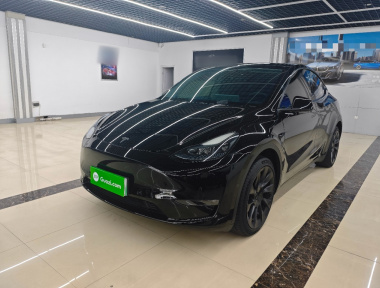 Tesla Model Y 2023 Tesla Model Y 2023 car image