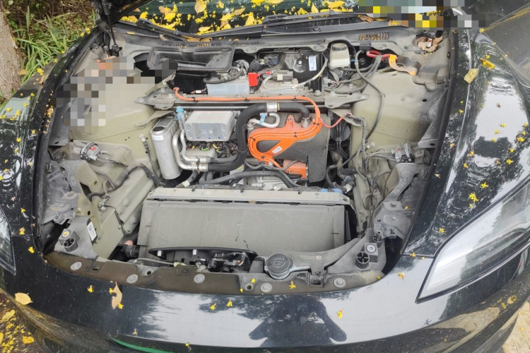 Tesla Model 3 2023 #24 Tesla Model 3 2023 car image #24
