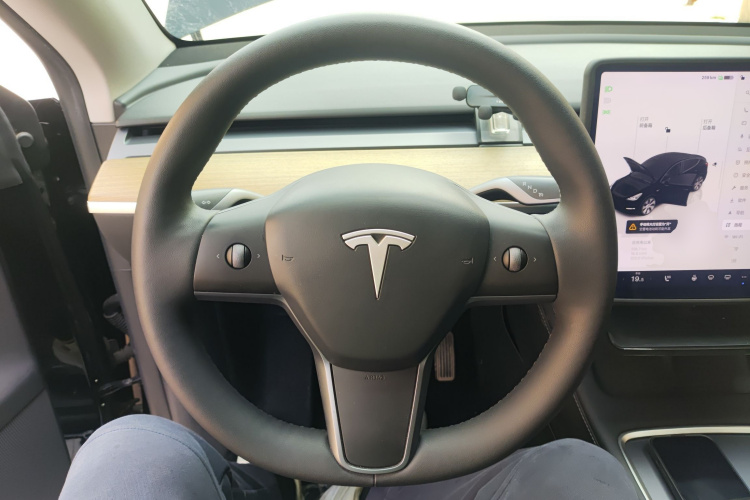 Tesla Model Y 2023 car image #11