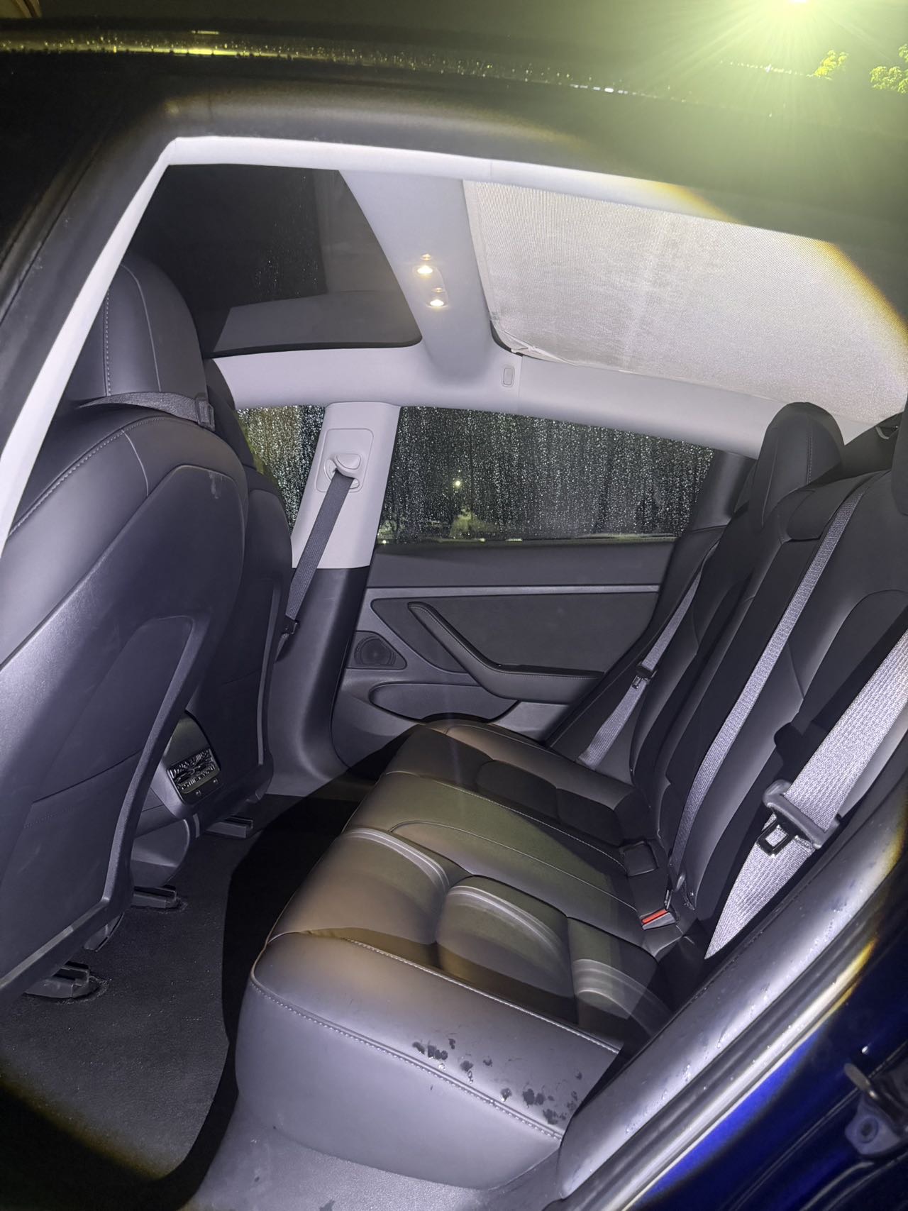 Tesla Model 3 2020 #9 Tesla Model 3 2020 car image #9