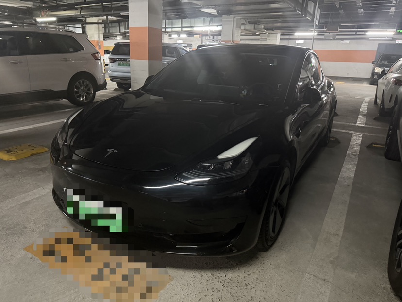 Tesla Model 3 2021 Tesla Model 3 2021 car image