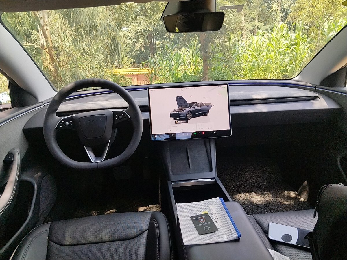 Tesla Model 3 2025 #5 Tesla Model 3 2025 car image #5
