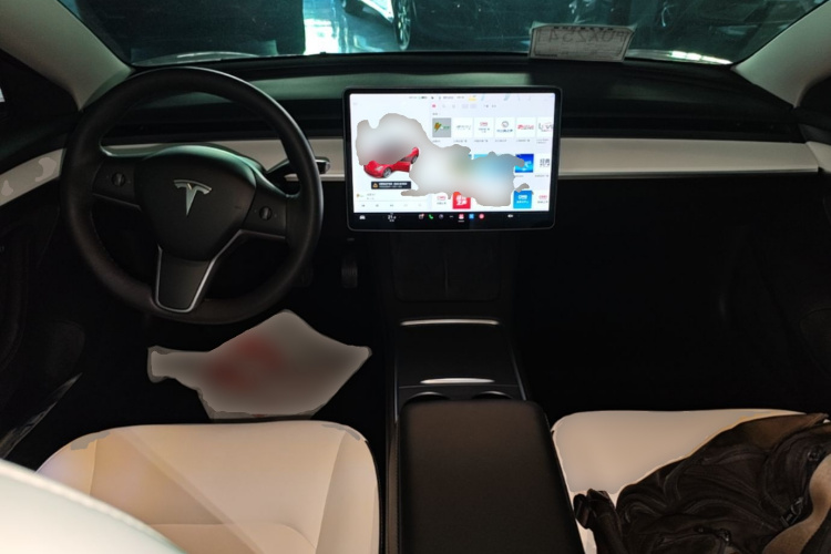 Tesla Model 3 2021 #10 Tesla Model 3 2021 car image #10