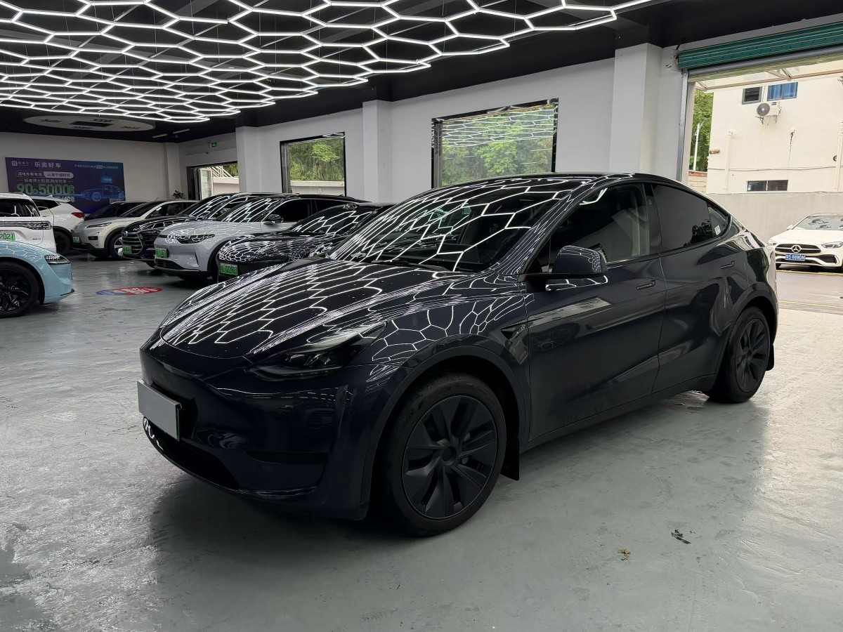 Tesla Model Y 2024 car image 