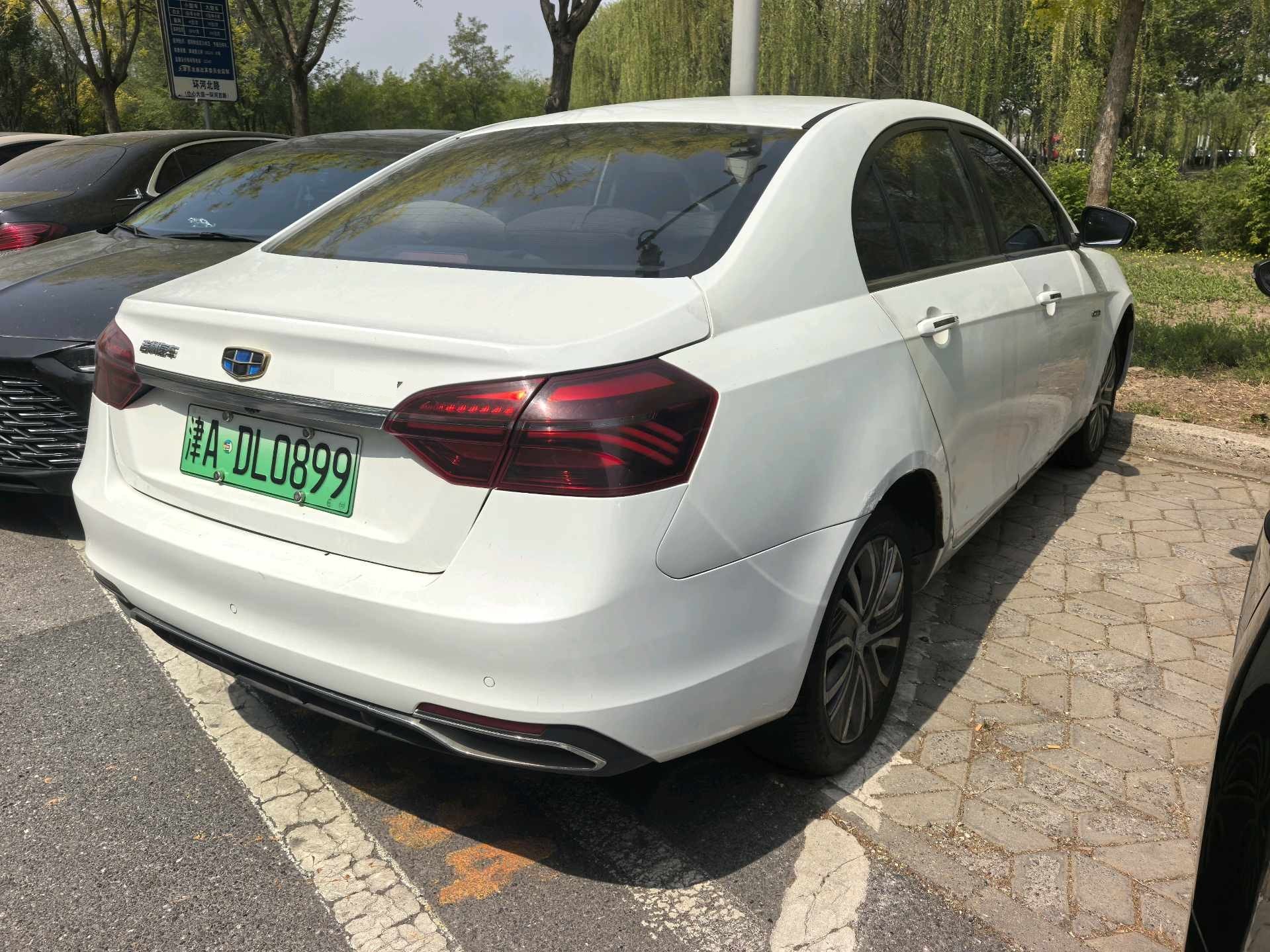 GEELY Emgrand New Energy 2019 car image #3