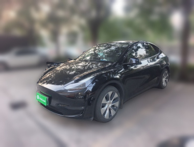 Tesla Model Y 2021 Tesla Model Y 2021 car image