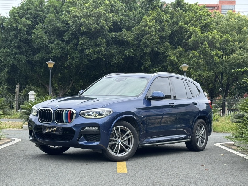 BMW X3 2019 car image 