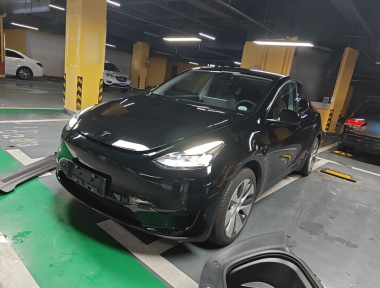 Tesla Model Y 2023 Tesla Model Y 2023 car image