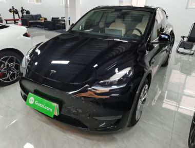 Tesla Model Y 2021 Tesla Model Y 2021 car image