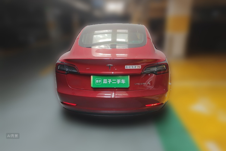 Tesla Model 3 2020 car image #6