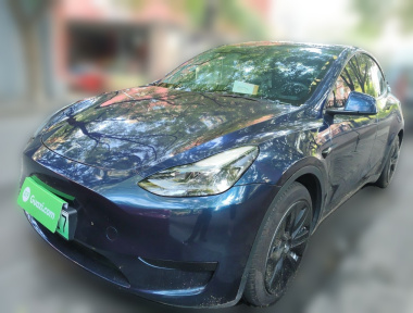 Tesla Model Y 2022 Tesla Model Y 2022 car image