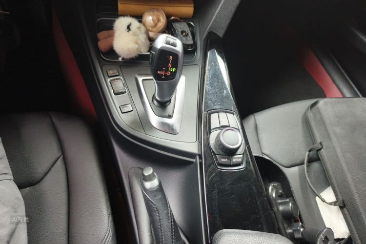 BMW 3 Series 2017 car image #16