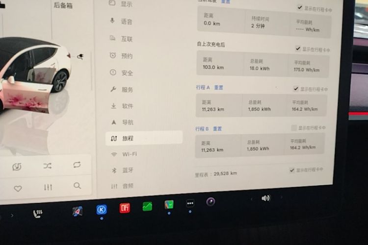 Tesla Model Y 2024 car image #12