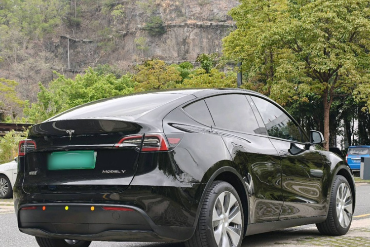 Tesla Model Y 2023 #3 Tesla Model Y 2023 car image #3