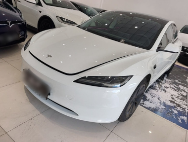 Tesla Model 3 2024 Tesla Model 3 2024 car image