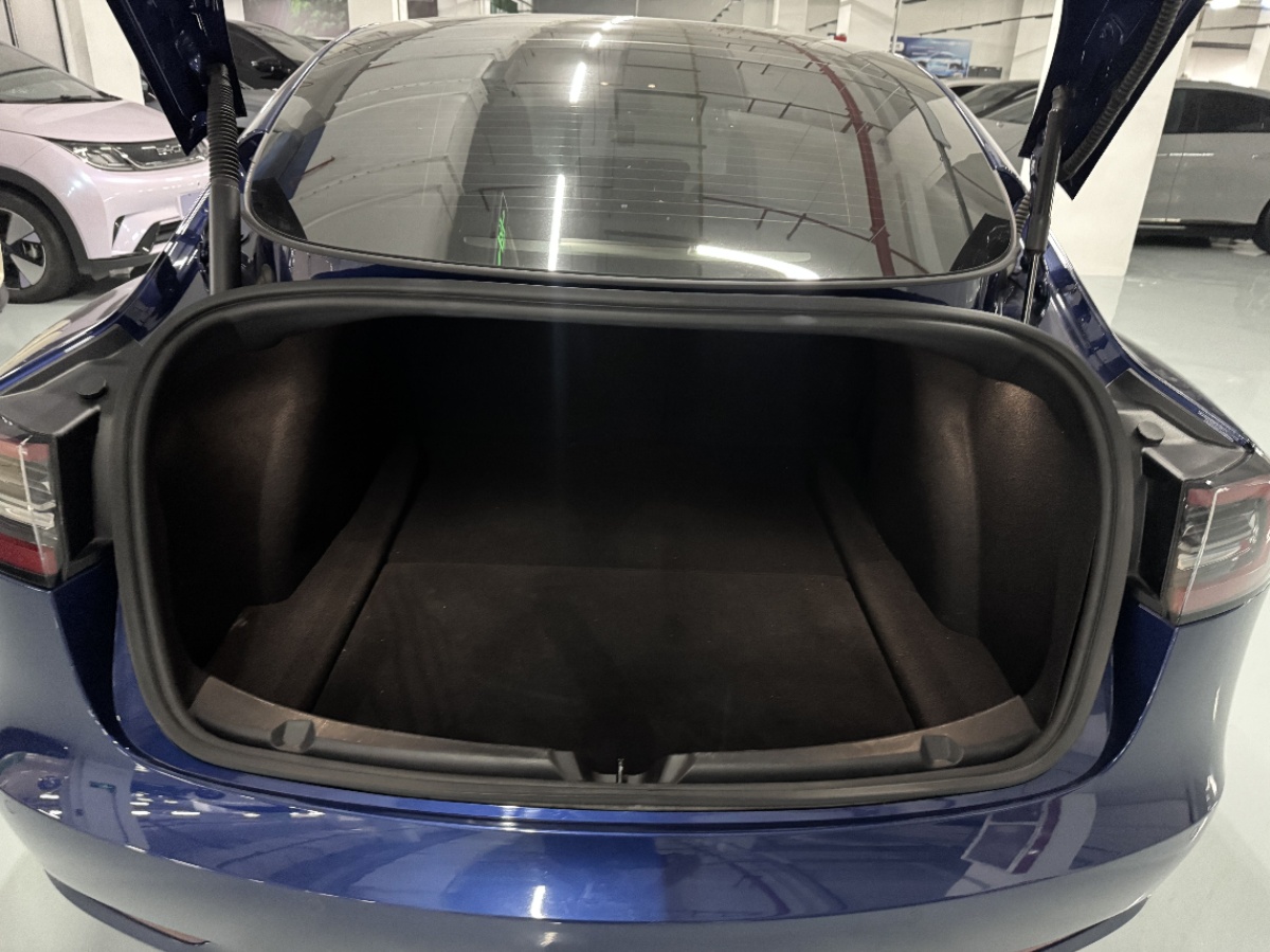 Tesla Model 3 2022 #7 Tesla Model 3 2022 car image #7