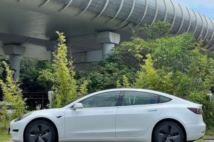 Tesla Model 3 2020 #5 Tesla Model 3 2020 car image #5