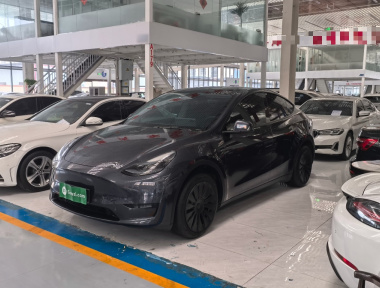 Tesla Model Y 2024 Tesla Model Y 2024 car image