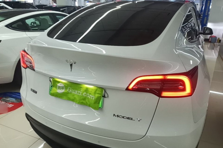 Tesla Model Y 2021 car image #6
