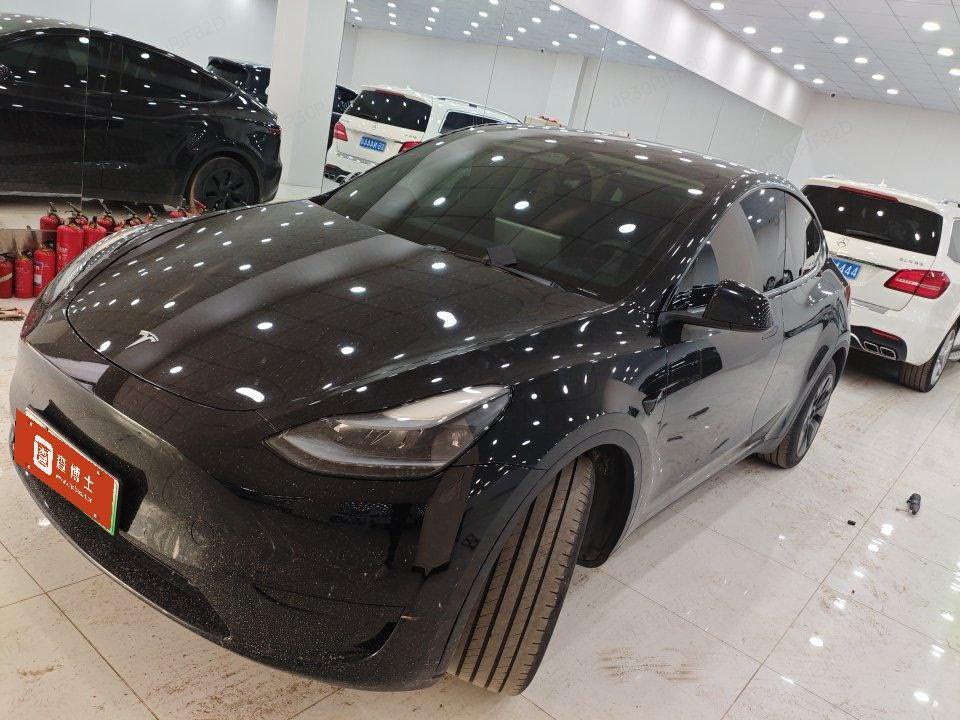 Tesla Model Y 2023 car image 