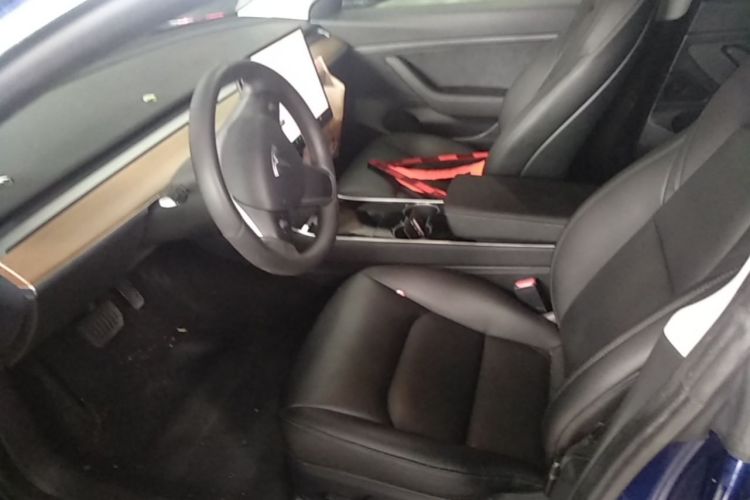 Tesla Model 3 2020 car image #15