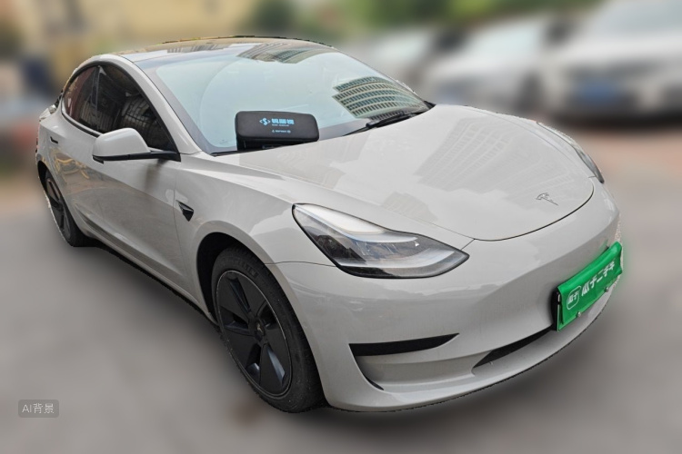 Tesla Model 3 2021 car image #4