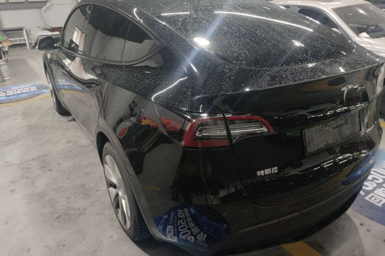 Tesla Model Y 2023 #5 Tesla Model Y 2023 car image #5