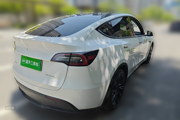 Tesla Model Y 2024 car image #7