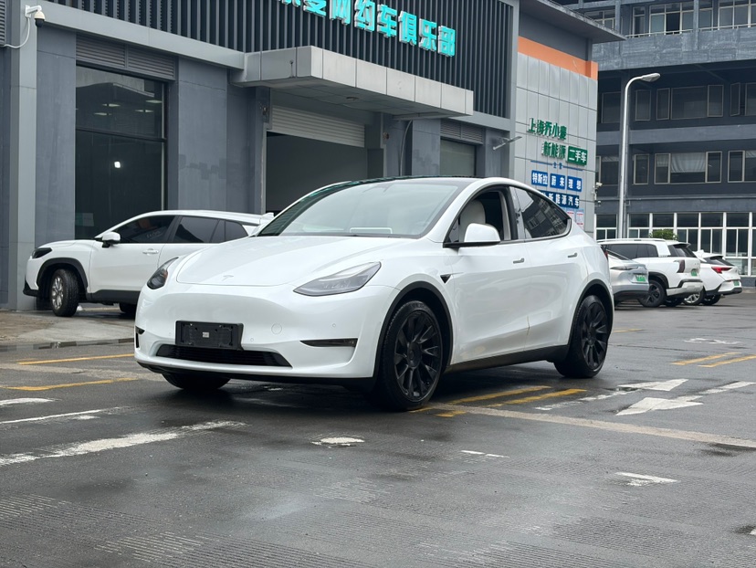 Tesla Model Y 2021 car image 