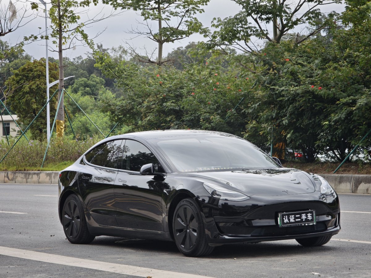 Tesla Model 3 2020 #3 Tesla Model 3 2020 car image #3