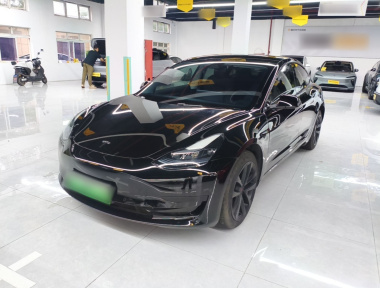 Tesla Model 3 2022 Tesla Model 3 2022 car image