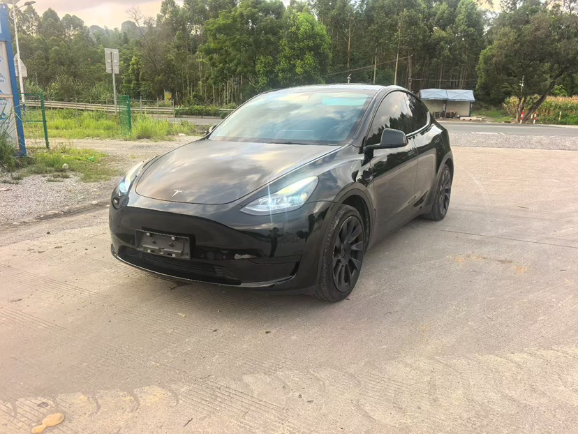 Tesla Model Y 2022 car image 