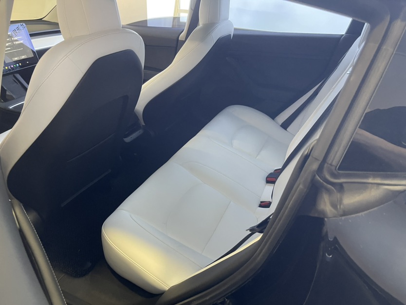 Tesla Model 3 2021 #6 Tesla Model 3 2021 car image #6