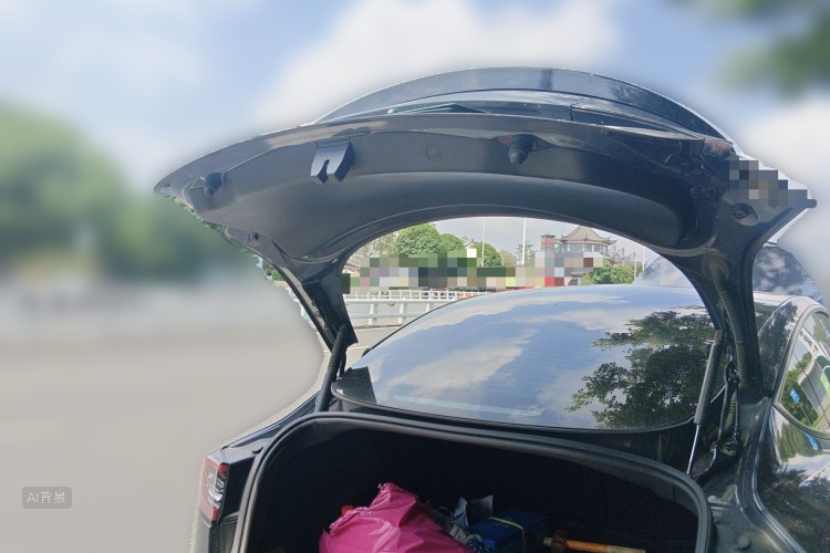 Tesla Model 3 2021 car image #21