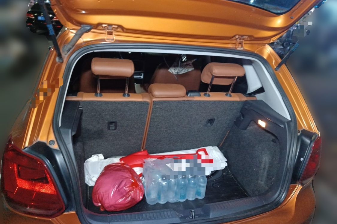 Volkswagen Polo 2014 car image #8