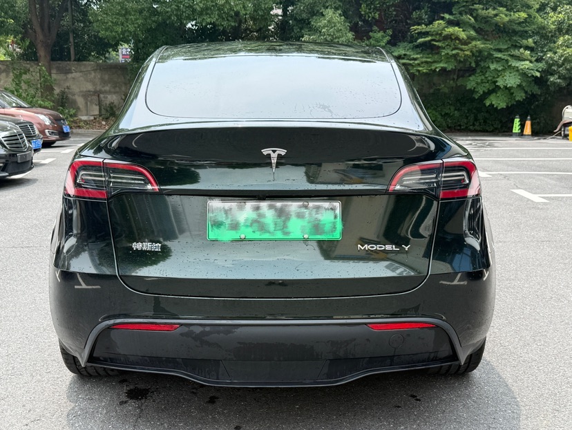 Tesla Model Y 2024 car image #5